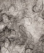 Fine Clutter Series 1 - Print Detail 2